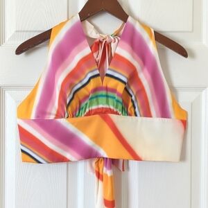 Gabrielle Union Rainbow Striped Satin Plunge V-neck Cropped Halter Tank Top XS